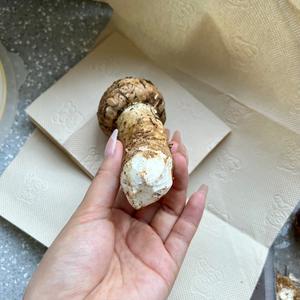 正确清理松茸、保存、食用方法