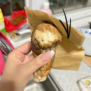 正确清理松茸、保存、食用方法