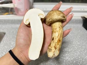 正确清理松茸、保存、食用方法