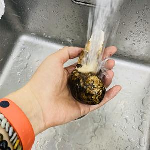 松茸的清洗和保存