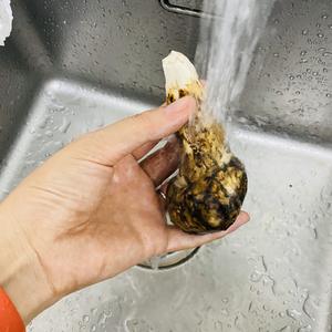 松茸的清洗和保存
