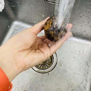 松茸的清洗和保存