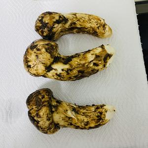 松茸的清洗和保存