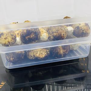 松茸的清洗和保存