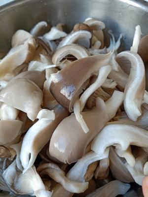 素炒平菇