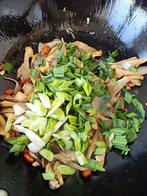 素炒平菇