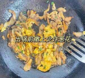 蘑菇炒鸡蛋 平菇这样炒，鲜美无比巨好吃