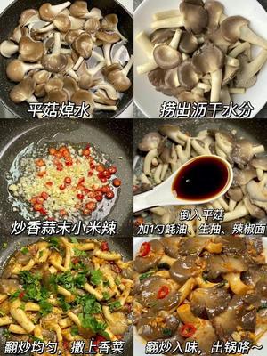 平菇的神仙做法