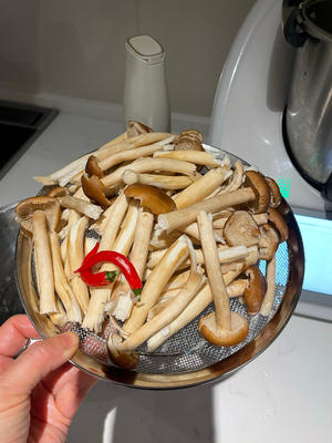 油浸茶树菇