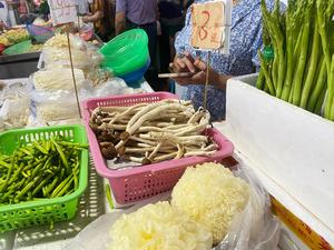 茶树菇烧鳝鱼（端午做好菜）
