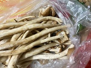 茶树菇烧鳝鱼（端午做好菜）