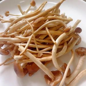老人小孩都爱吃的新鲜茶树菇炒肉丝