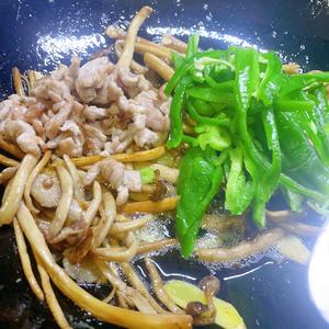 老人小孩都爱吃的新鲜茶树菇炒肉丝