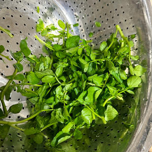 粉丝蘑菇/舞茸沙拉&amp;玄米黑醋汁 （ref.《无印良品的四季食谱 Café&amp;Meal MUJI》）