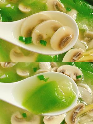 汤鲜味美！适合天热喝的刮油神汤～丝瓜蘑菇汤