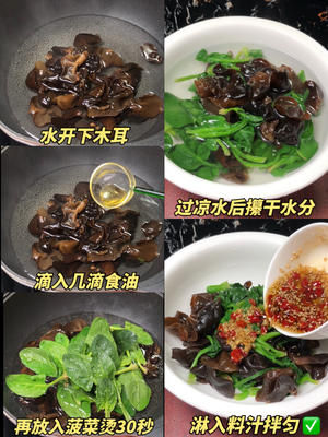 清爽开胃凉菜｜凉拌菠菜木耳