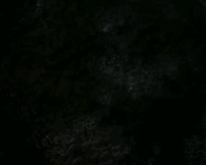 素菜冠军！营养美味的山药炒木耳