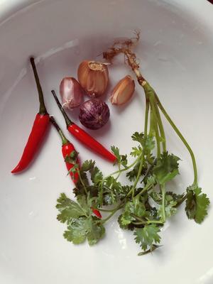 凉拌洋葱木耳–通血管开胃快手凉菜