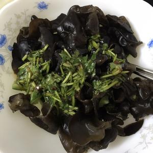 凉拌黄瓜黑木耳