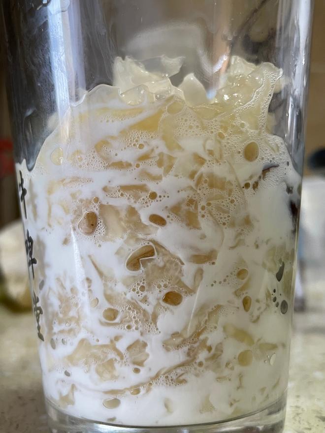 【教你熬银耳】银耳牛奶羹