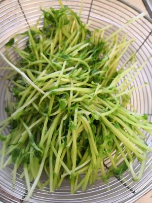 芝麻拌豆苗