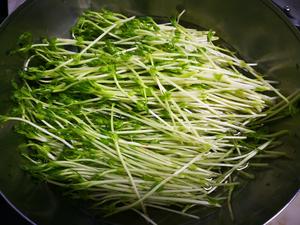 清新豌豆苗
