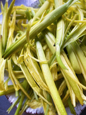用料简单的新鲜黄花菜汤