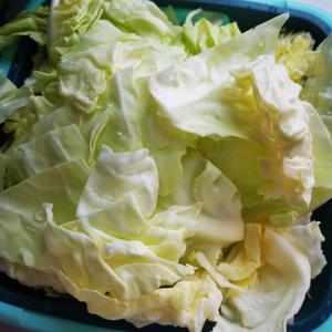 爆炒包菜