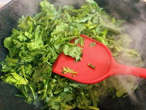 连吃三碗的茼蒿菜饭