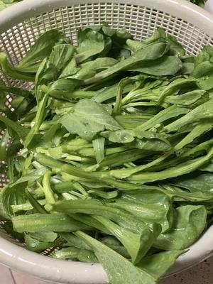 一款简单的健康菜—茼蒿豆腐