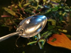 不放肉的爆炒红菜苔——超香