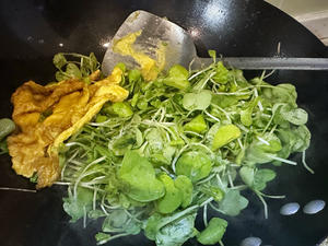 鸡蛋炒萝卜苗（把春天吃进肚子里）