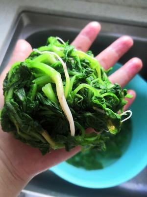 小炒萝卜苗
