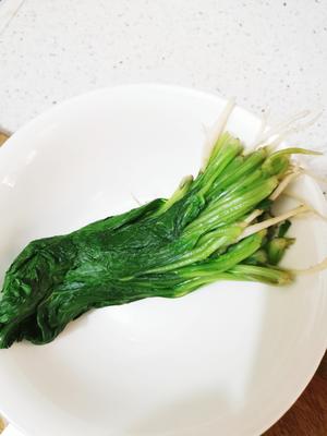 下饭萝卜苗