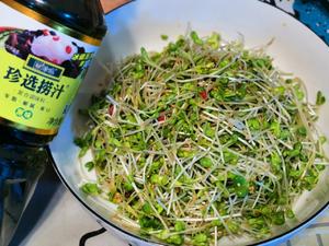 珍选捞汁|凉拌萝卜苗，酸甜可口，好吃又简单