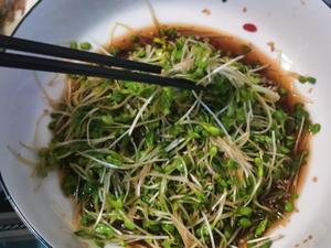 珍选捞汁|凉拌萝卜苗，酸甜可口，好吃又简单