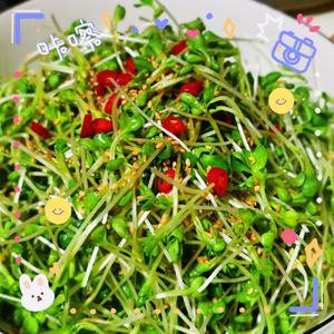珍选捞汁|凉拌萝卜苗，酸甜可口，好吃又简单