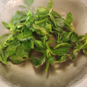 捞汁穿心莲