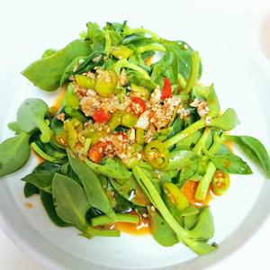 捞汁穿心莲