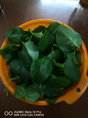 凉拌穿心莲（菜名阴毒?）
