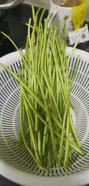 芦蒿肉沫拌饭