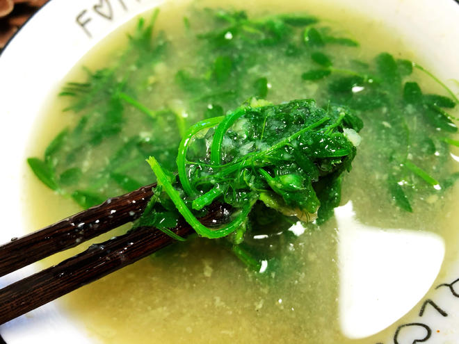 低脂纯素-野豌豆尖浓汤