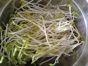 豌豆尖炒鸡蛋