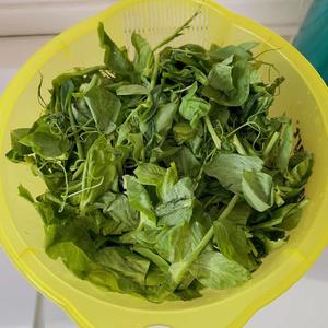 豌豆尖绿豆粉大蒸饺