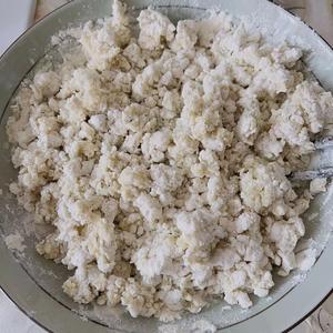 豌豆尖绿豆粉大蒸饺