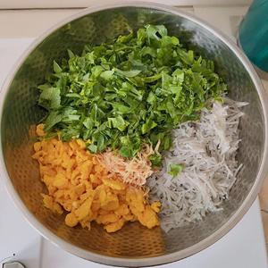 豌豆尖绿豆粉大蒸饺