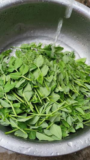一口鲜嫩的春天--上汤豌豆尖