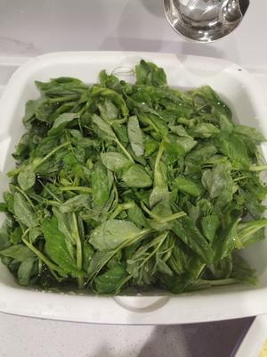豌豆尖汤
