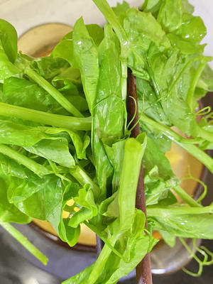 豌豆尖鸡蛋汤‼️♨️