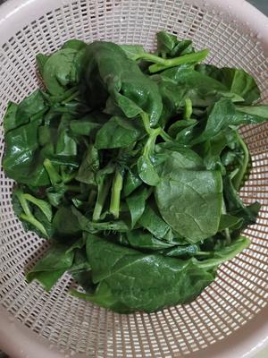 清炒木耳菜